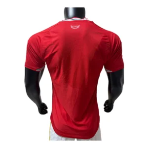 Wales WK Thuisshirt 2026