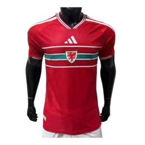 Wales WK Thuisshirt 2026
