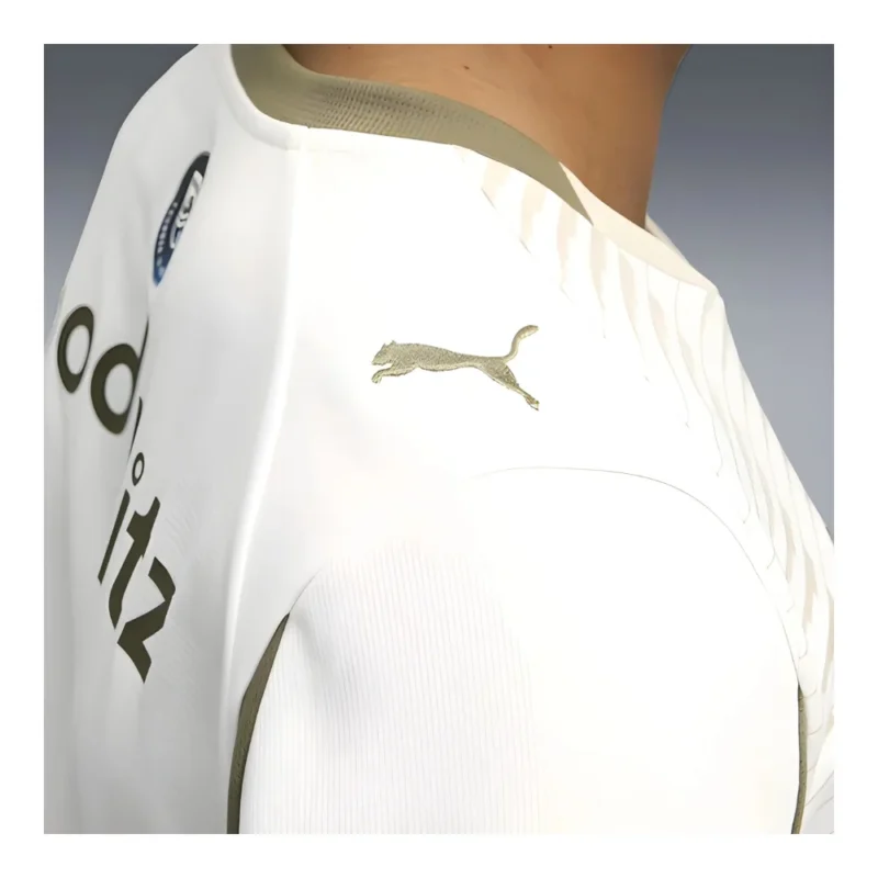 PSV 3de Shirt 2025/26