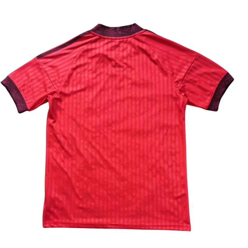 133-1.webp Olympique Lyon Uitshirt 2026/27